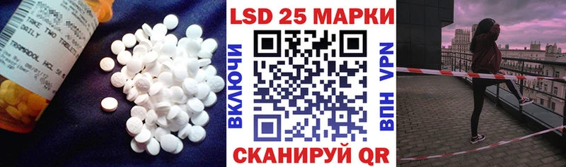 дарнет шоп  Циолковский  kraken вход  Лсд 25 экстази кислота 