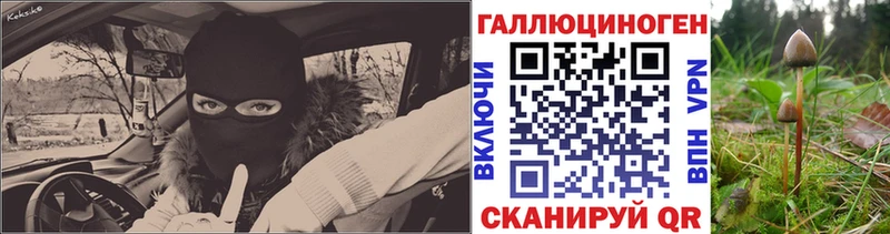 Псилоцибиновые грибы Magic Shrooms  магазин    Циолковский 
